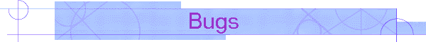 Bugs